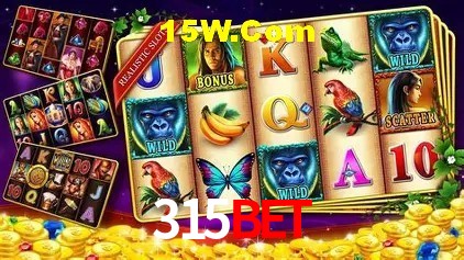 Canal oficial no Telegram da 315Bet